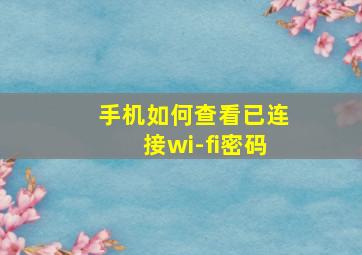 手机如何查看已连接wi-fi密码