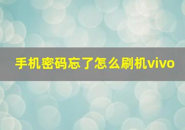 手机密码忘了怎么刷机vivo