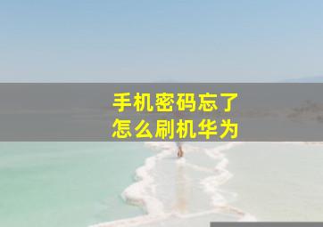 手机密码忘了怎么刷机华为