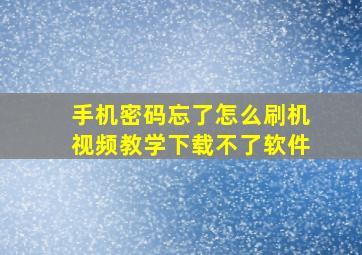 手机密码忘了怎么刷机视频教学下载不了软件