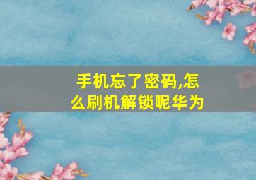 手机忘了密码,怎么刷机解锁呢华为