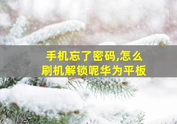 手机忘了密码,怎么刷机解锁呢华为平板