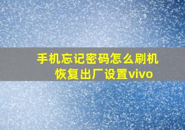 手机忘记密码怎么刷机恢复出厂设置vivo