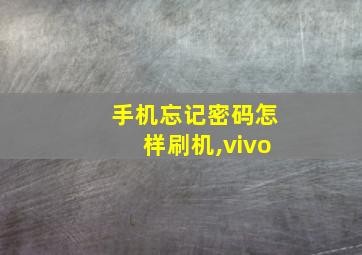 手机忘记密码怎样刷机,vivo