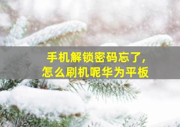 手机解锁密码忘了,怎么刷机呢华为平板