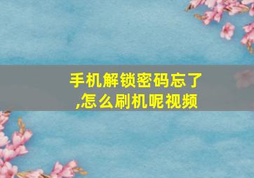 手机解锁密码忘了,怎么刷机呢视频