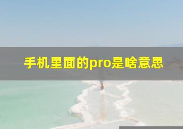 手机里面的pro是啥意思