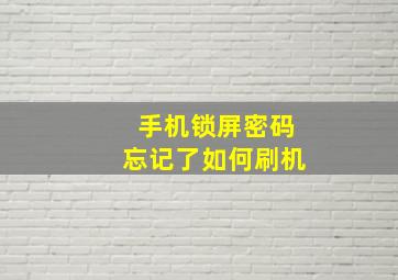 手机锁屏密码忘记了如何刷机