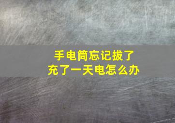 手电筒忘记拔了充了一天电怎么办