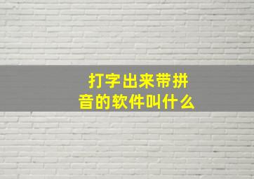 打字出来带拼音的软件叫什么