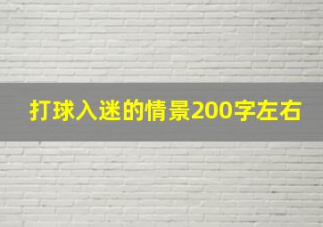 打球入迷的情景200字左右