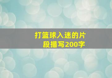 打篮球入迷的片段描写200字