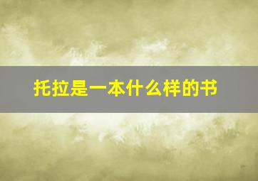 托拉是一本什么样的书