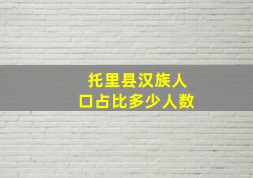 托里县汉族人口占比多少人数