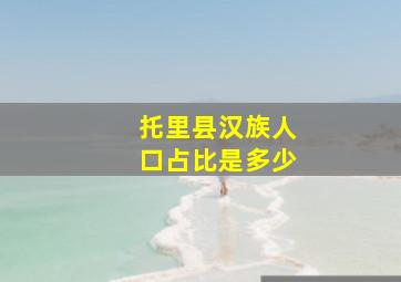 托里县汉族人口占比是多少