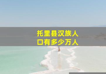 托里县汉族人口有多少万人