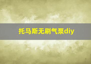 托马斯无刷气泵diy