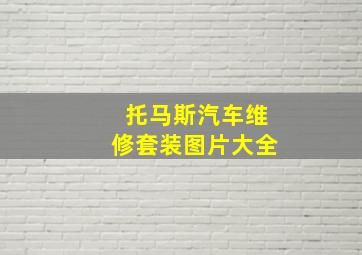 托马斯汽车维修套装图片大全