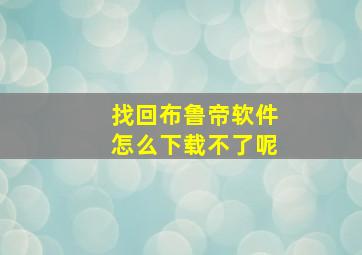 找回布鲁帝软件怎么下载不了呢