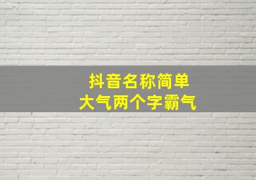 抖音名称简单大气两个字霸气