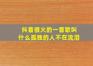 抖音很火的一首歌叫什么孤独的人不在流泪