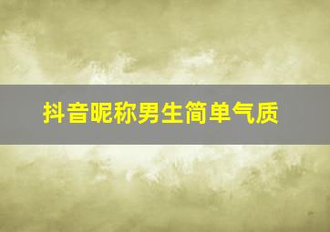 抖音昵称男生简单气质