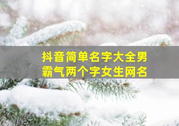 抖音简单名字大全男霸气两个字女生网名