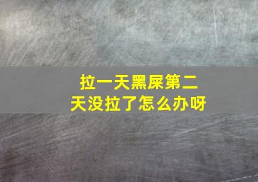 拉一天黑屎第二天没拉了怎么办呀