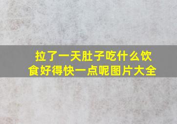 拉了一天肚子吃什么饮食好得快一点呢图片大全