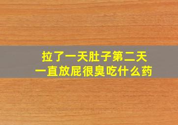 拉了一天肚子第二天一直放屁很臭吃什么药