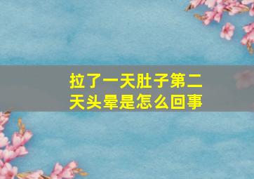 拉了一天肚子第二天头晕是怎么回事