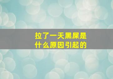 拉了一天黑屎是什么原因引起的