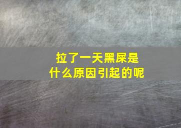 拉了一天黑屎是什么原因引起的呢