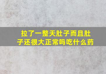 拉了一整天肚子而且肚子还很大正常吗吃什么药