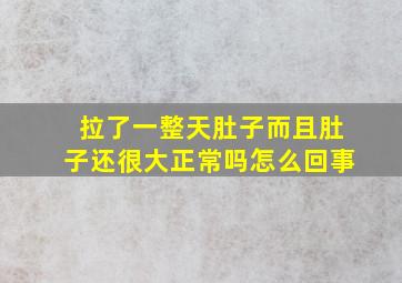 拉了一整天肚子而且肚子还很大正常吗怎么回事