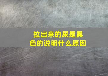 拉出来的屎是黑色的说明什么原因