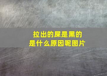 拉出的屎是黑的是什么原因呢图片