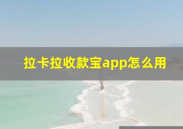 拉卡拉收款宝app怎么用