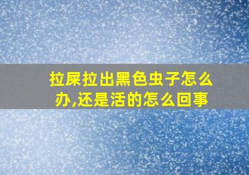 拉屎拉出黑色虫子怎么办,还是活的怎么回事