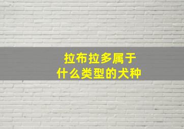 拉布拉多属于什么类型的犬种