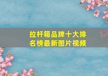 拉杆箱品牌十大排名榜最新图片视频