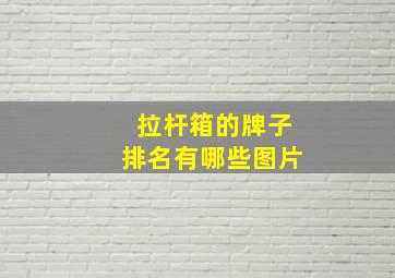 拉杆箱的牌子排名有哪些图片