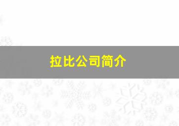 拉比公司简介