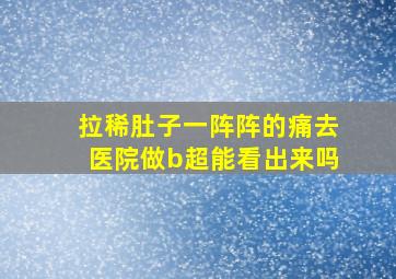 拉稀肚子一阵阵的痛去医院做b超能看出来吗