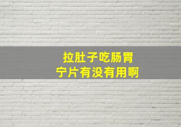 拉肚子吃肠胃宁片有没有用啊