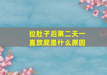 拉肚子后第二天一直放屁是什么原因