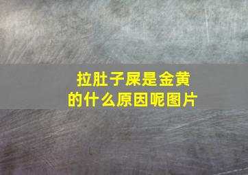 拉肚子屎是金黄的什么原因呢图片