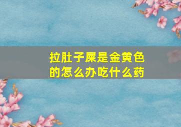 拉肚子屎是金黄色的怎么办吃什么药