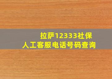 拉萨12333社保人工客服电话号码查询