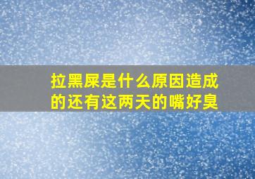 拉黑屎是什么原因造成的还有这两天的嘴好臭